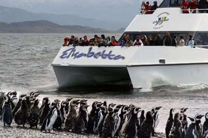 catamaranes caseros